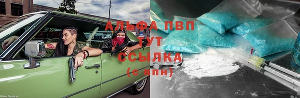индика Михайлов