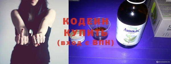 индика Михайлов