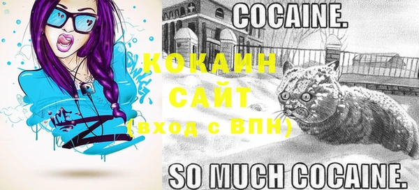 стафф Медногорск