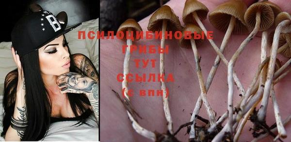 2c-b Лиски
