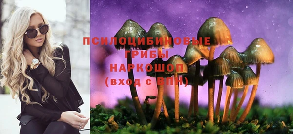 МДПВ Лихославль