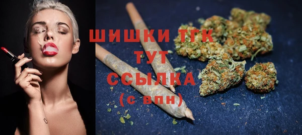 стафф Медногорск
