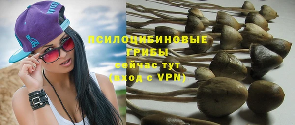 спайс Медвежьегорск